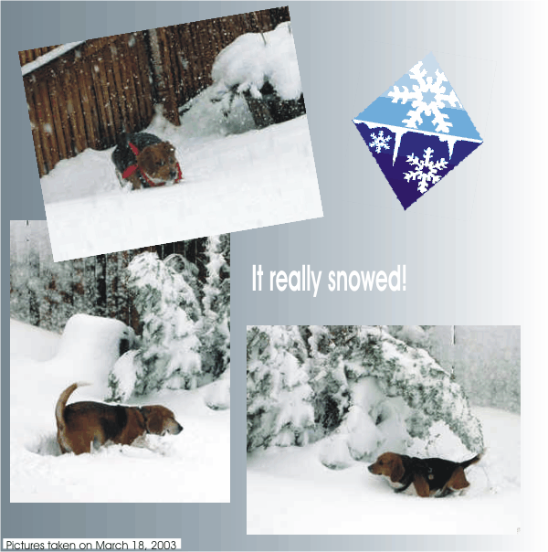What fun Bob & Betty Beagle had in the snow