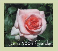Click here to view beautiful flowers from Jan's Garden 2004