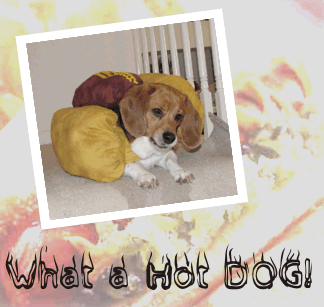 Betty Beagle, a hot dog