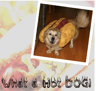 Hot Dog, the new name for Lucky
