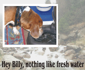 Hey Billy, nothing like fresh water