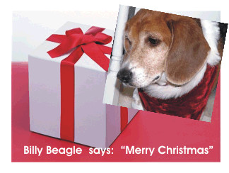 Almost Christmas, do you see the sleigh?