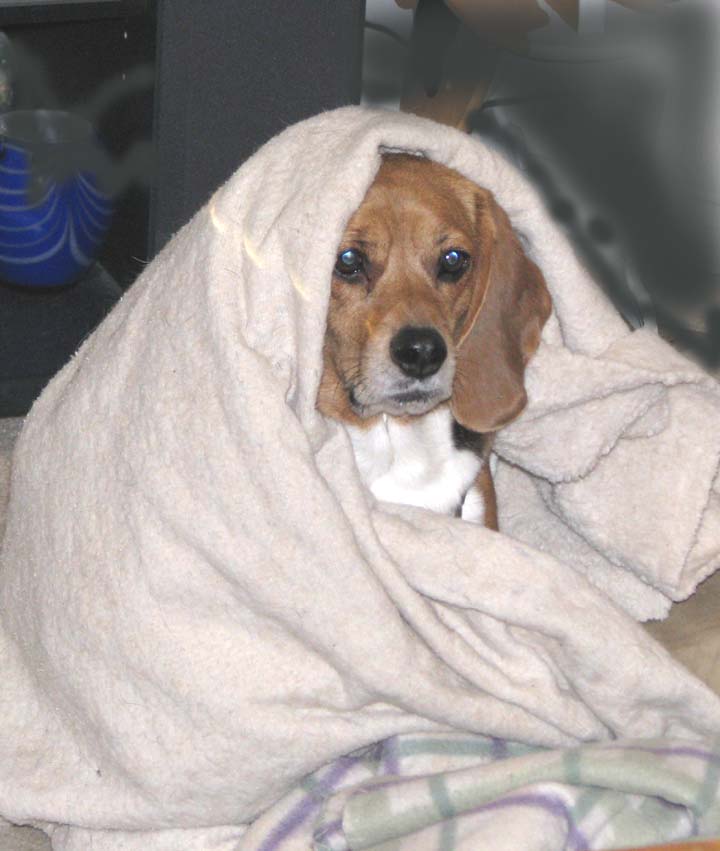 Betty, are you cold?