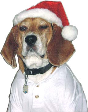 Can't forget Bob Beagle
